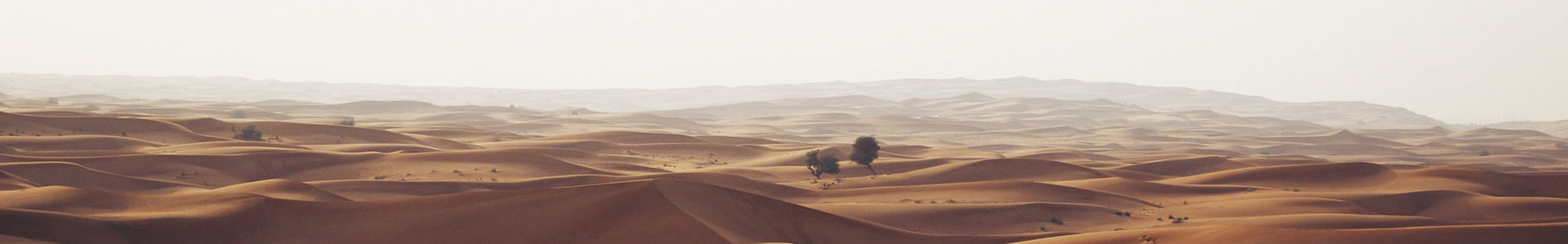 ݰ˹ܻ޹˾